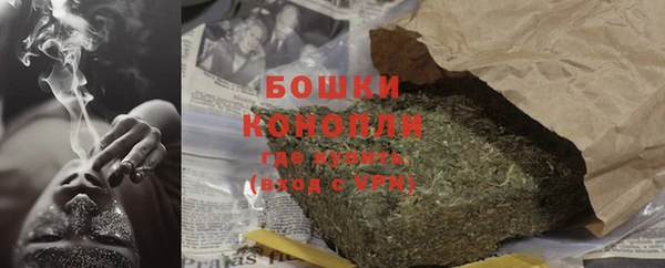 прущие грибы Кинешма