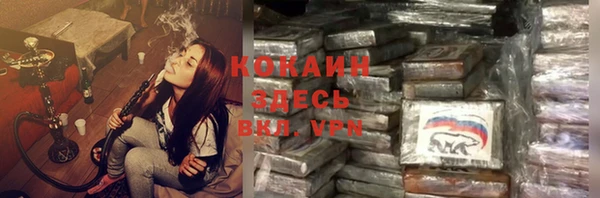 прущие грибы Кинешма