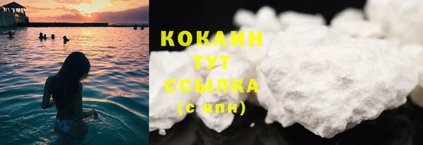 прущий лед Козловка