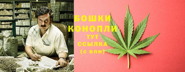 apvp Козельск