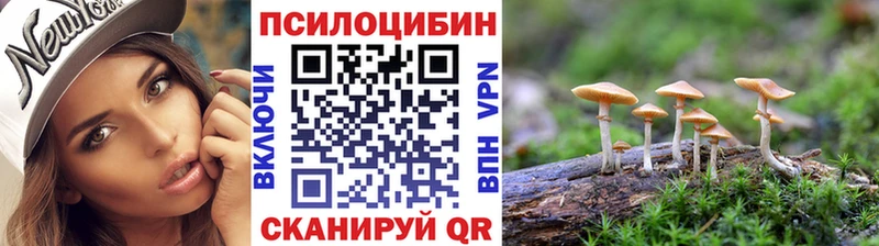 Псилоцибиновые грибы GOLDEN TEACHER  купить закладку  Костомукша 